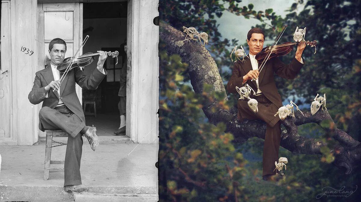 Шедевры фотоискусства. Современные фотографы. Государственный художественный музей алтайского края. Шедевры фотографов. Признанные шедевры.