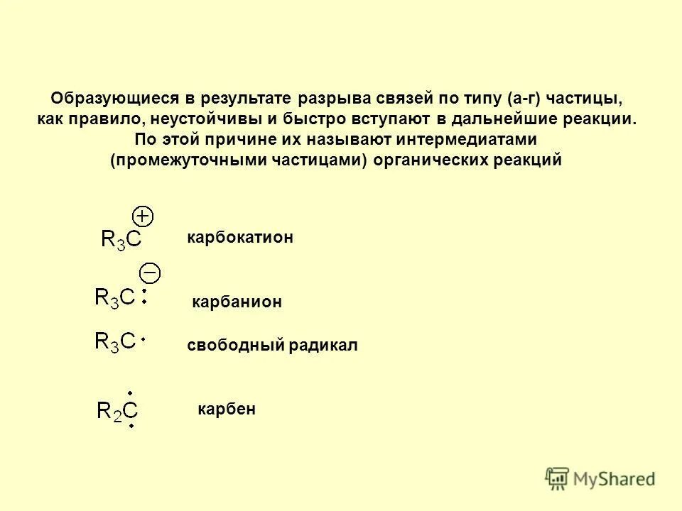 Детрит и детритофаг. Живая часть почвы. Электрофилы нуклеофилы свободные радикалы. Промежуточные частицы в органике. Нуклеофилы и электрофилы.