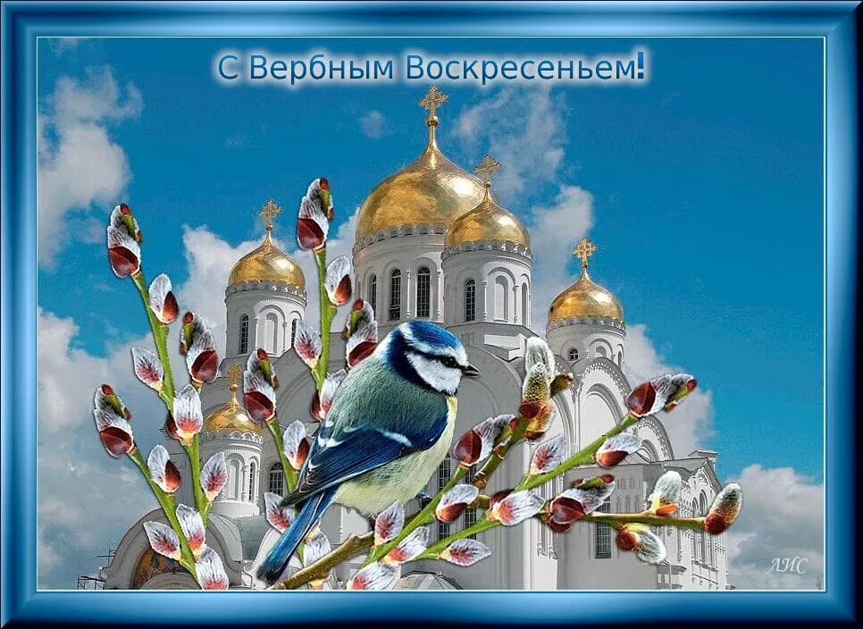 Как поздравить с вербным воскресеньем правильно. С вербным воскресеньем. открытка с вербныи воскресенье. с вербным воскресеньем открытки. вербное воскресенье поздравления.