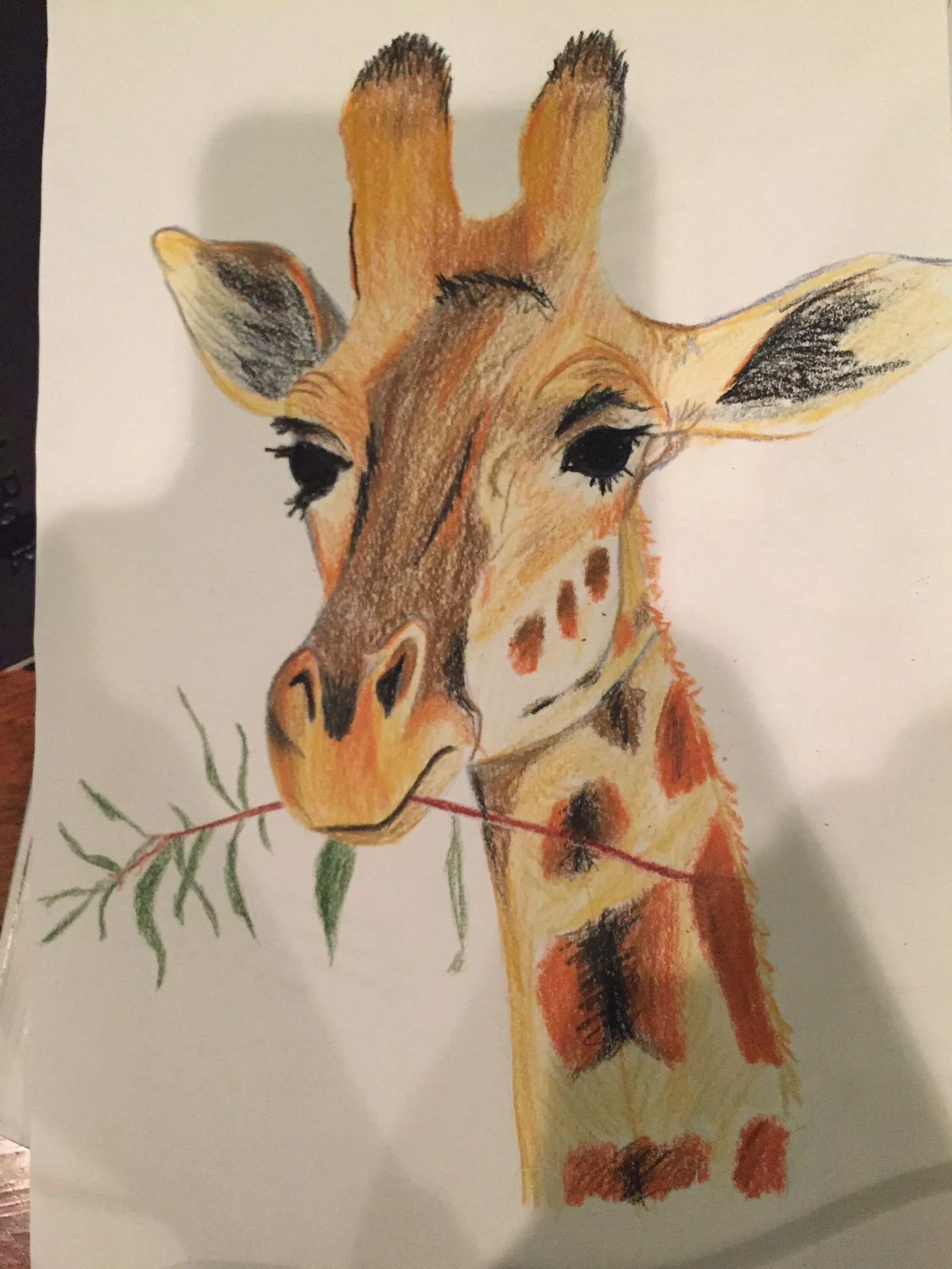 Жираф лось. Рисунок жирафа. Урок рисования жирафа. Жираф фломастерами. Жираф маркерами.