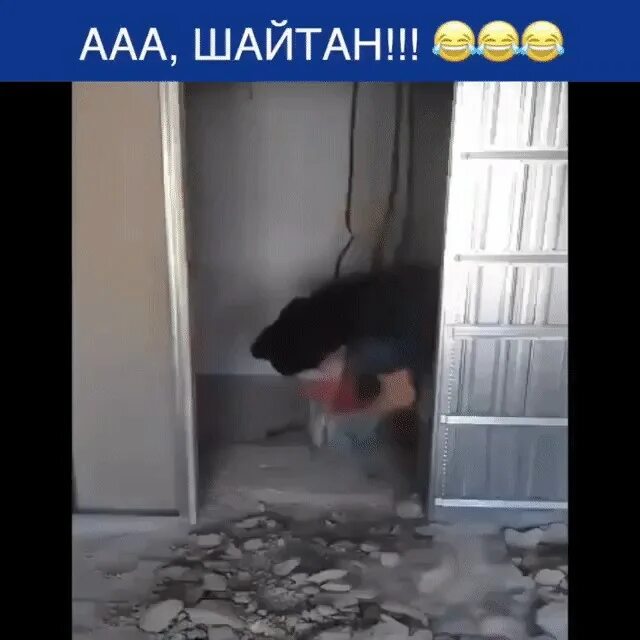 Что делают шайтаны