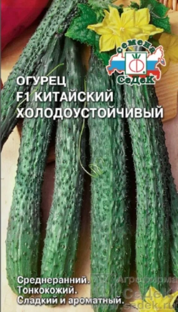 Огурец гибрид китайский болезнеустойчивый. Китайский холодостойкий огурец. Китайский холодостойкий огурец. Огурец китайский холодоустойчивый f1. Китайские огурцы f1.