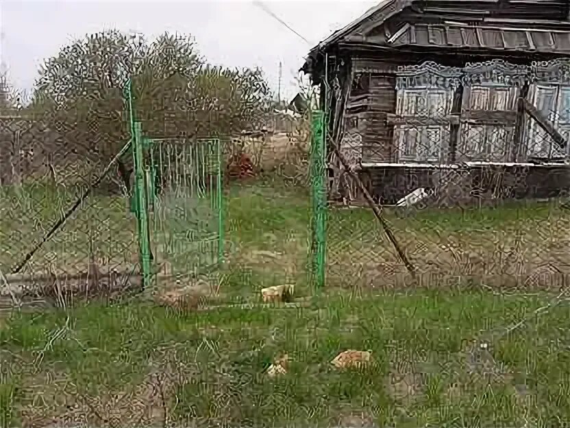 Печерские выселки. Печерские выселки сызранский. выселки (самарская область). печеро выселки сызранский район. сызранский район д. печеро выселки.