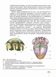 Язык биологии схема