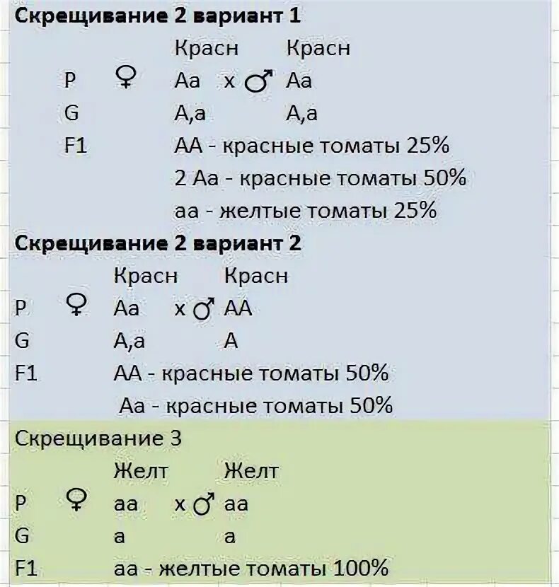 У томатов красная окраска доминирует над желтой. У томатов красная окраска плодов доминирует. У растений томата красный цвет плодов доминирует над желтым. У томатов красная окраска плодов доминирует над желтой. У томатов ген обуславливающий красный цвет плодов доминирует.