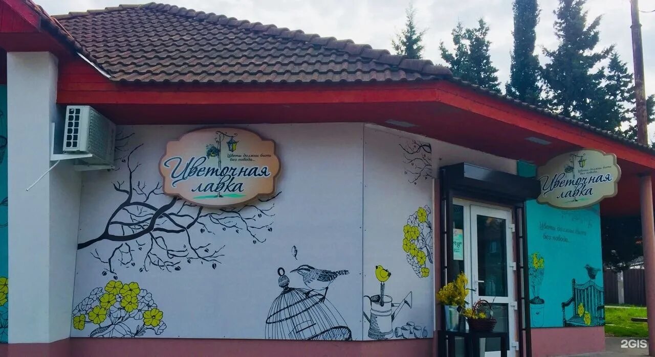 Белинского улица в геленджике. Flower shop. Цветочный магазин в геленджике. Рынок в геленджике. Цветочный магазин в геленджике.