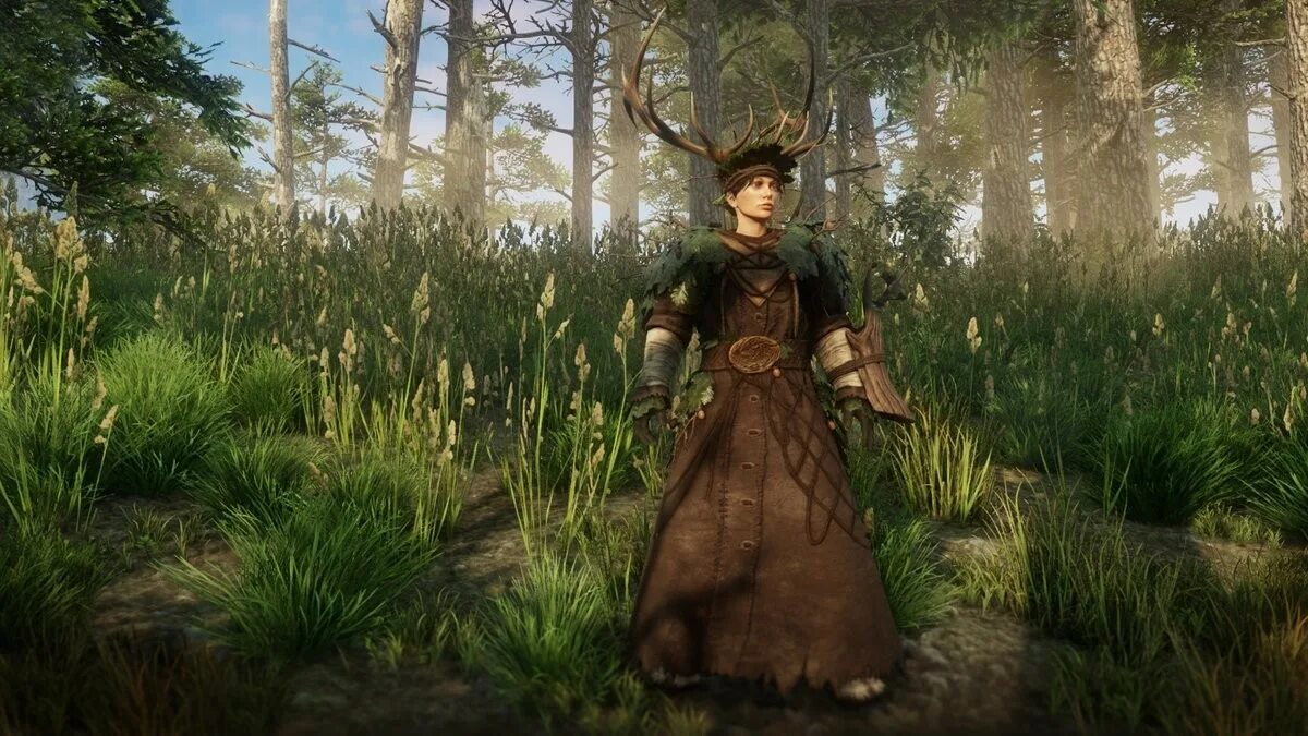 New birdarcha. Броня Woodsman New World. Амазон игра New World. Woodsman Armor Skin. ММО от Amazon New World.