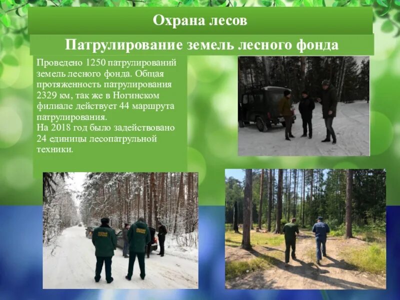 Фонд защиты лесного фонда. Патрулирование лесного фонда подмосковья. патрулирование лесов. лесная охрана патрулирование. патрулирование лесов лесничествами.