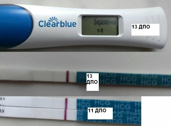 9 день после. 10 ДПО тест на беременность. Электронный тест на беременность 11дпо. 13 ДПО тест на беременность. Тест на беременность на 13 день после овуляции.