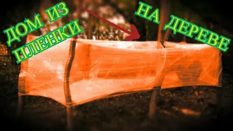 Дом пленки