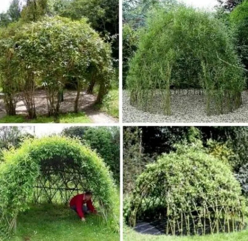Живые беседки своими руками Беседки из ивы для вашего сада Ide berkebun, Kebun, Ide