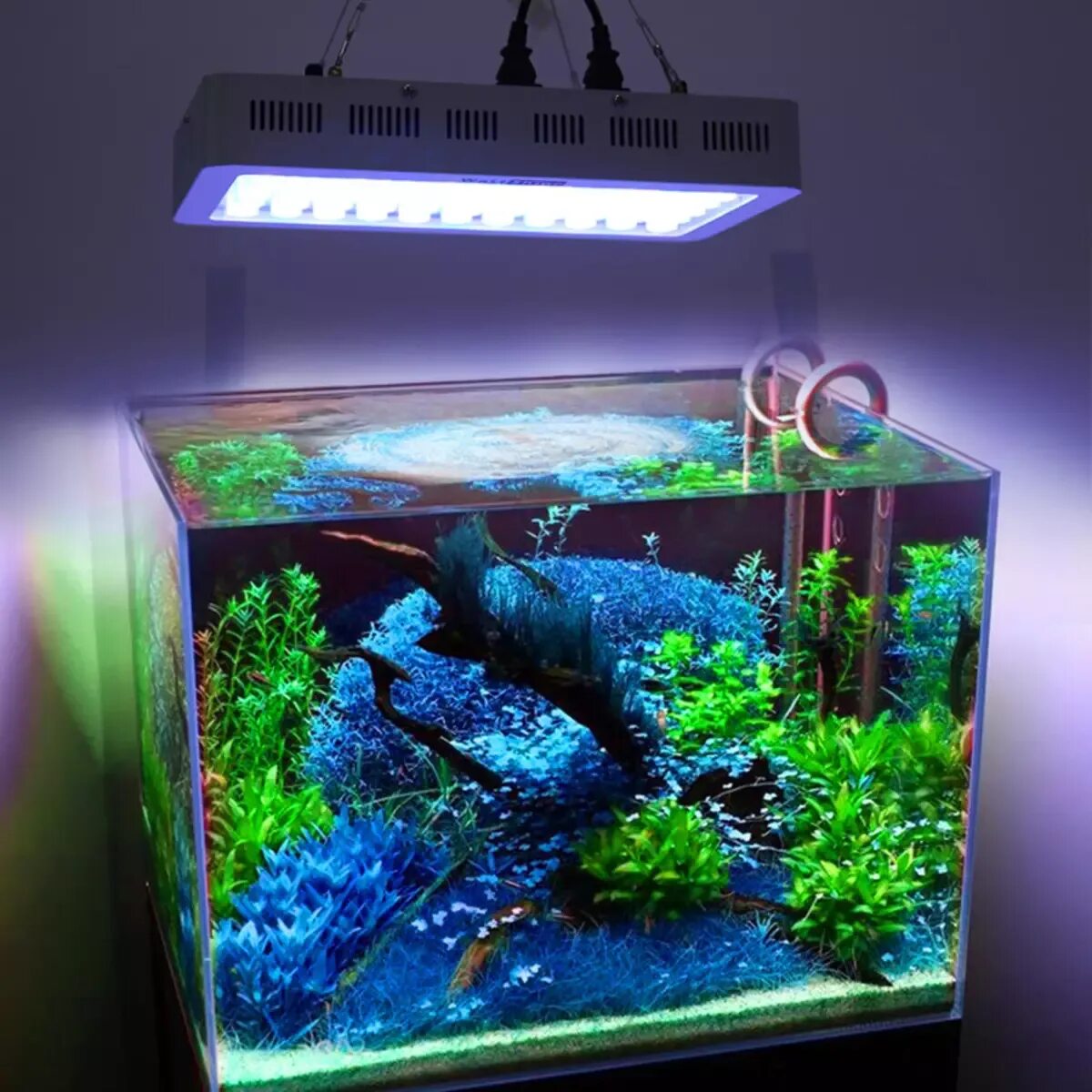 Надо выключать свет в аквариуме. Подсветка для аквариума. Неоновая подсветка для аквариума. Аквариум с подсветкой для рыб. Флуоресцентный светильник для аквариума.