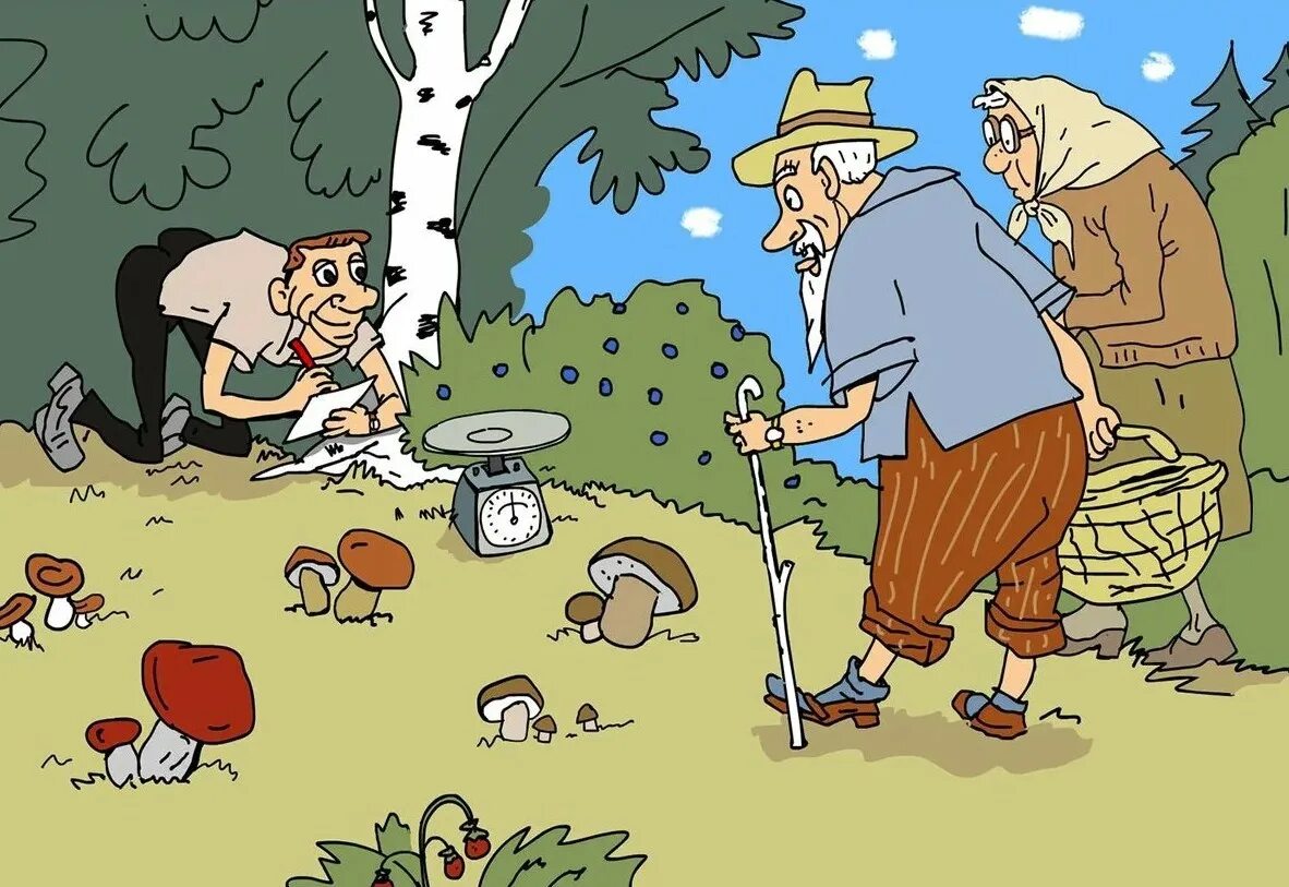 Собранные грибы. Про грибников. Сбор грибов в лесу. Про грибников. Что за гриб.