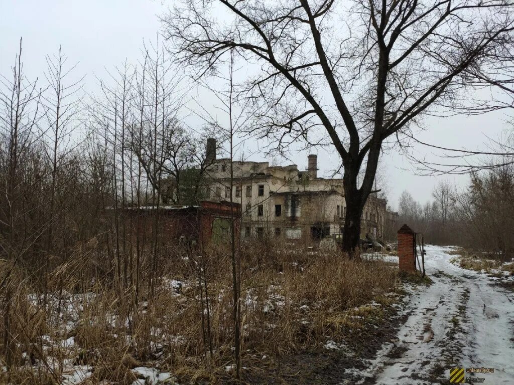 Заброшка в Брянске. Заброшки в Брянске в Советском районе. Заброшки Брянска Фокинского района. Заброшенная ТЭЦ.