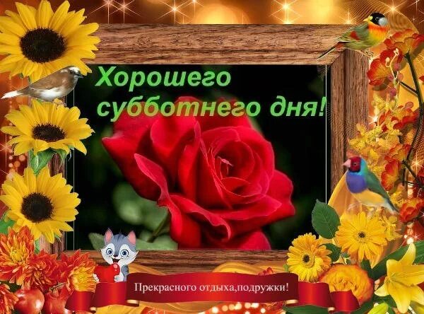 С прекрасным субботним днем картинки красивые. Хорошего субботнего дня и отличного настроения. поздравление с субботой. с субботним днем и хорошим настроением. хорошей субботы и отличного настроения.