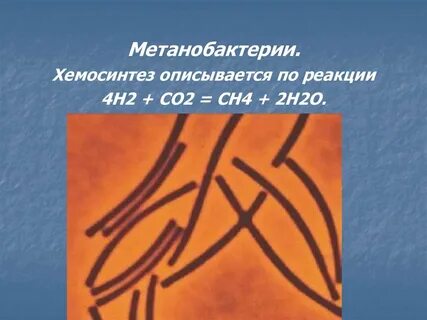 2 хемосинтез