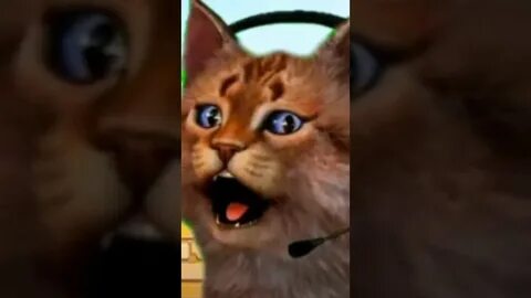 Видео про котенок лайк
