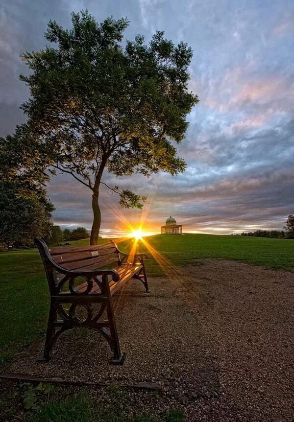 Вечер. Настроение под вечер. Настроение под вечер. Лавочка в парке. Красивые цветы ночью.