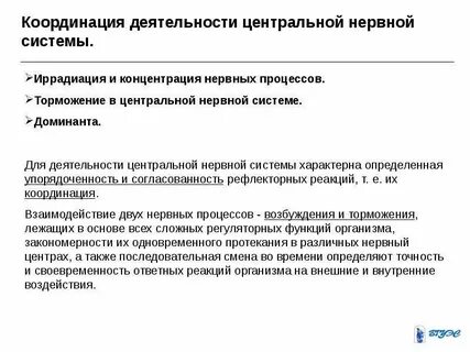 Координирующая функция нервной системы
