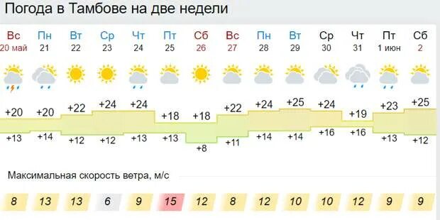 Погода рассказово тамбовская область на 10 дней. Погода в Тамбове на неделю. Погода в Тамбове на 2 недели. Тамбов климат. Погода в Тамбове.