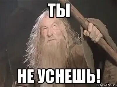 И в том нет власти. У тебя здесь нет власти. у тебя нет власти. ты не имеешь здесь власти. мем гендальф ты не пройдешь.