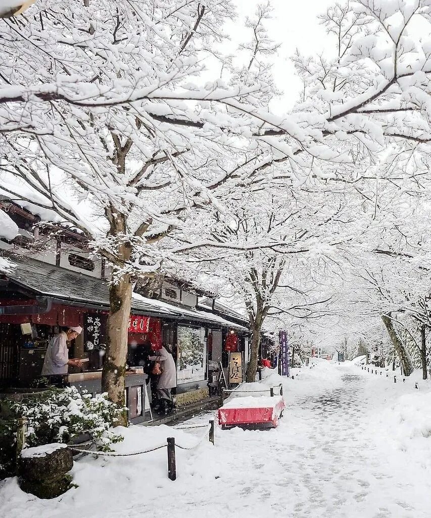 япония зимой. зима в японии токио. зима в японии токио. япония зимние города. в японии подогреваются тротуары.