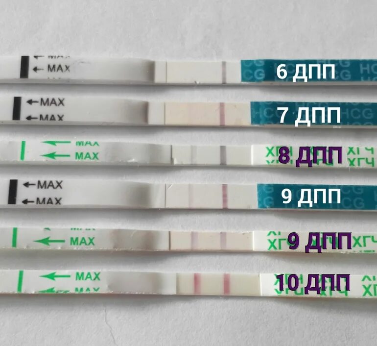 8 дпп тест форум. 6 ДПП тест. 8дпп пятидневки крио. 4 ДПП тест. 5 ДПП крио отрицательный тест.