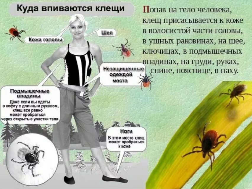 В местах где чаще всего