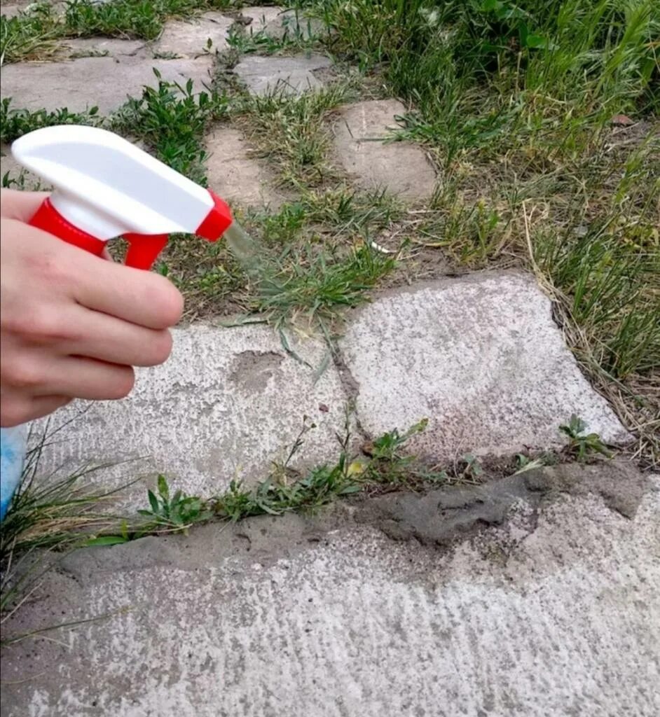 Удалитель сорняков дачник. Борьба с сорняками на даче. Удаление травы на участке. Прополка сорных растений. Пырей на газоне.