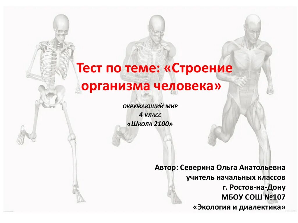 Что такое организм тест. Организм человека. Строение организма. Строение тела человека проверочная работа. Структура строения тела человека.