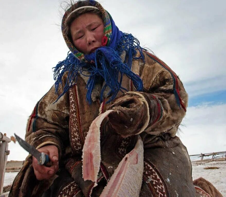 Рыба северных народов. Ханты ненцы селькупы. Ненцы ханты манси. Ханты манси чукчи. Ненцы ханты манси.
