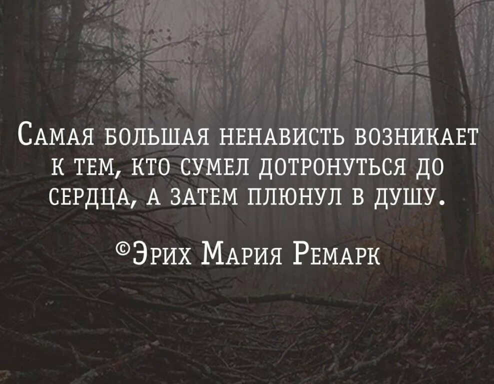 Неверный ты сам все разрушил винтер. Ненависть афоризмы. Цитаты про ненависть. Самая большая ненависть возникает к тем. Цитаты про ненависть к людям.