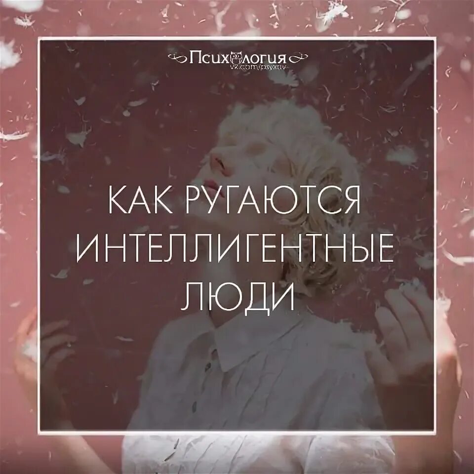 Интеллигентные выражения. Фразы дирижеров или как ругаются интеллигентные люди. 33 фразы дирижеров или как ругаются интеллигентные люди. как ругаются интеллигентные. ругаться интеллигентно.