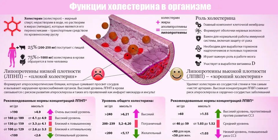 Что можно при обострении желчнокаменной болезни. Диета при камнях в желчном. Питание при камнях в желчном пузыре без операции. Диета при камнях в желчном пузыре. Диета при камешках в желчном пузыре.