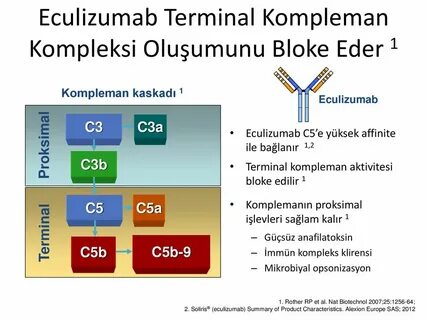 Экулизумаб