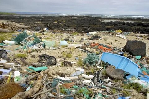 The environment consequences