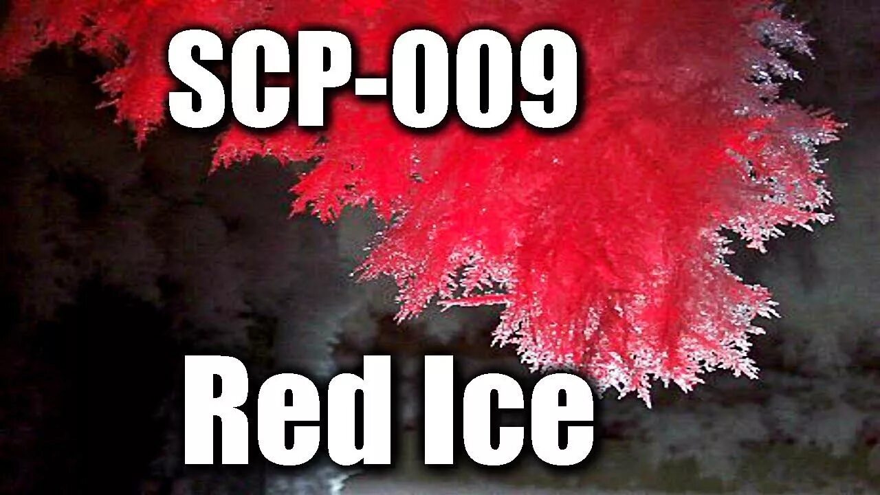 Scp 9 6 6