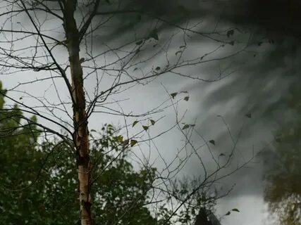 Исчезнуть в потемневшем небе ветер яростно