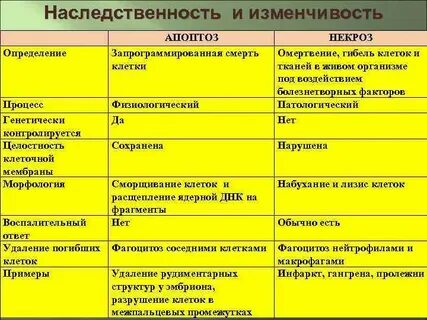Виды некроза таблица