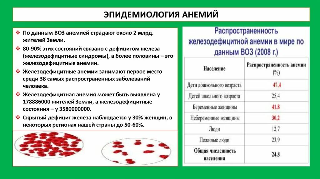 Анемия при недостатке витамина. Лекарства при железодефицитной и в12 – дефицитной анемии. Профилактика при железодефицитной анемии у детей. Клинические проявления при железодефицитной анемии. Дополнительные исследования при железодефицитной анемии.