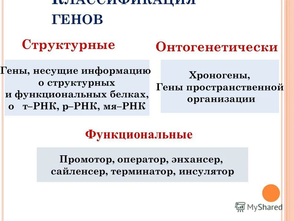 Гена несет информацию. Назовите участки гена. Функции гена. Ген структура гена. Ген участок молекулы днк несущий информацию.