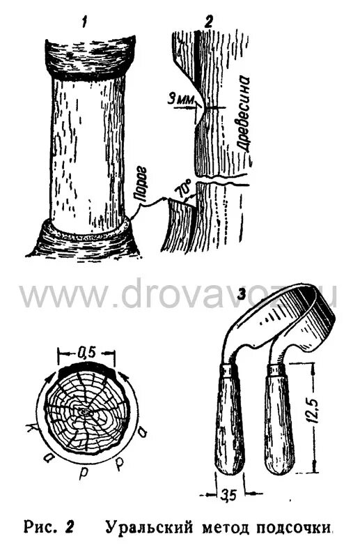 Уральский метод подсочки. Инструменты для подсочки. Инструменты для добычи живицы. Инструмент для подсочки сосны. Сестрица живицы 6 букв