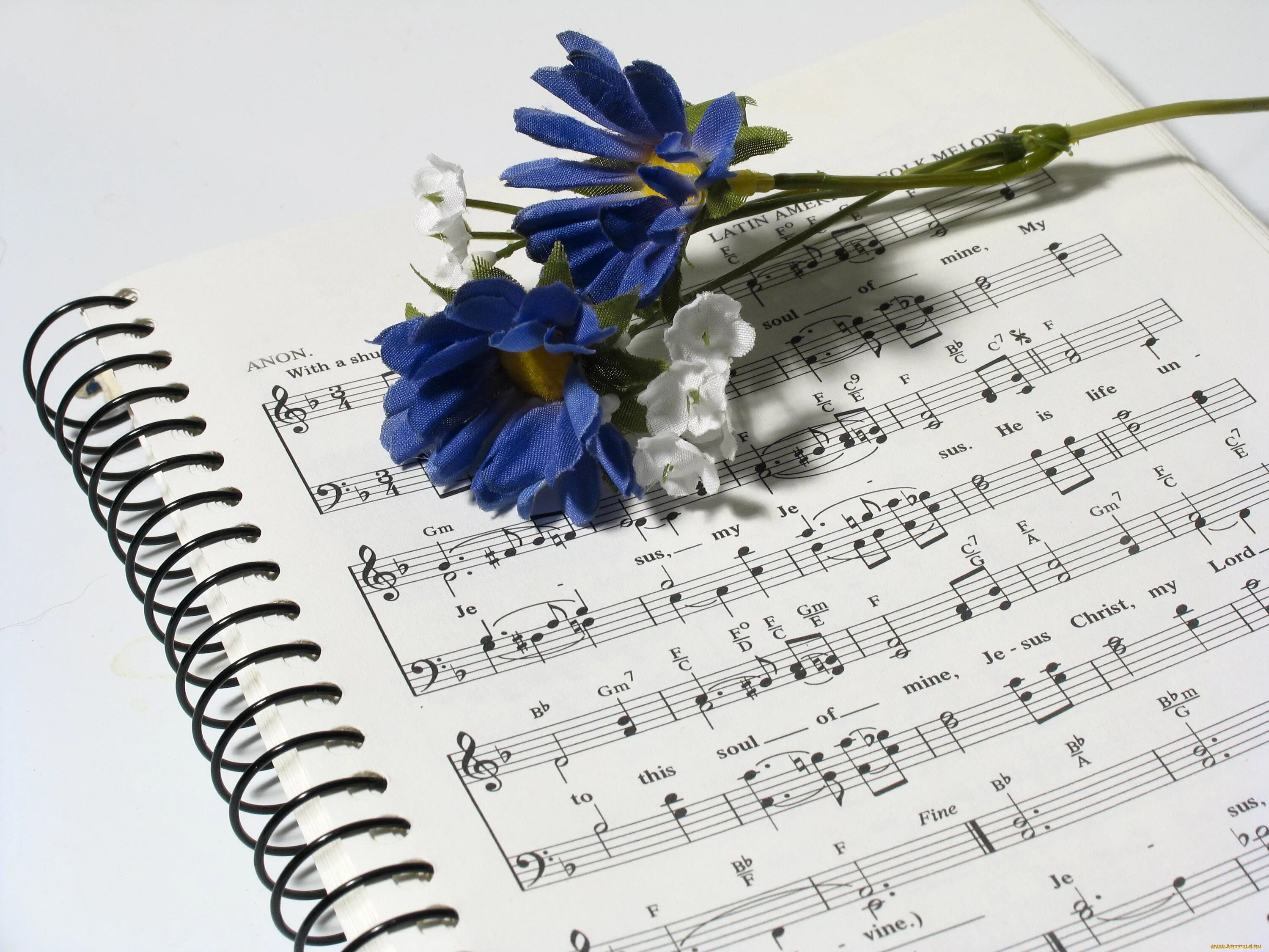 Песня про открытку. Музыкальный фон. Ноты и цветы. Фон нотки. Цветы для музыканта.
