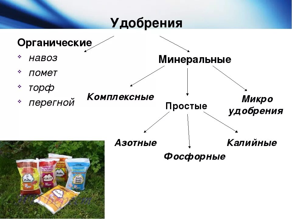 И т д и минеральных. Что такое органические и Минеральные удобрения. Классификация Минеральных удобрений. Удобрение органическое. Биологические удобрения классификация.