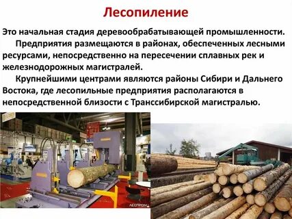 Отрасли лесной и деревообрабатывающей промышленности