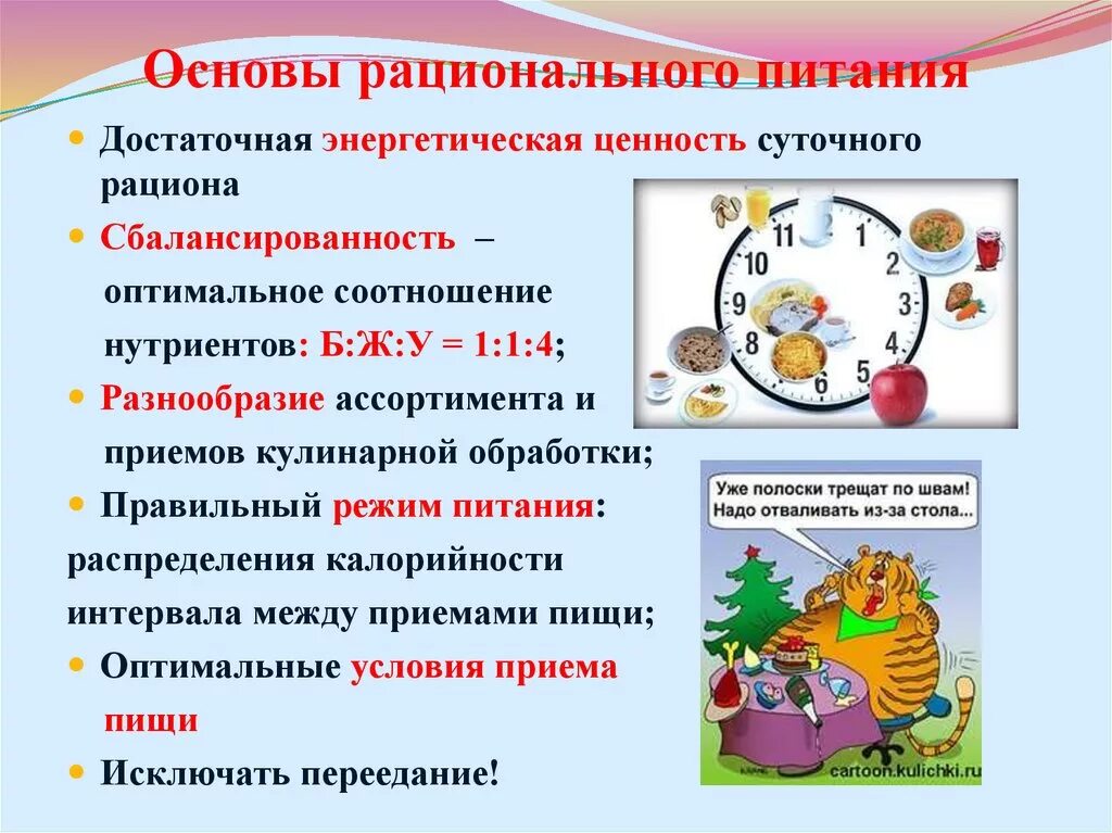 Принципы рационального здорового питания. Основы рационального питания. основывы рационального питания. принципы рационального питания.