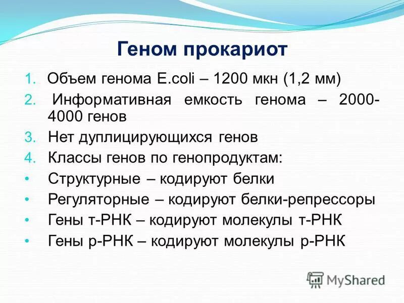 Лейкоцитарные антигены. Организация генома прокариот и эукариот. Организация генома прокариот. Классы генов. Общая схема строения генов класса 2.