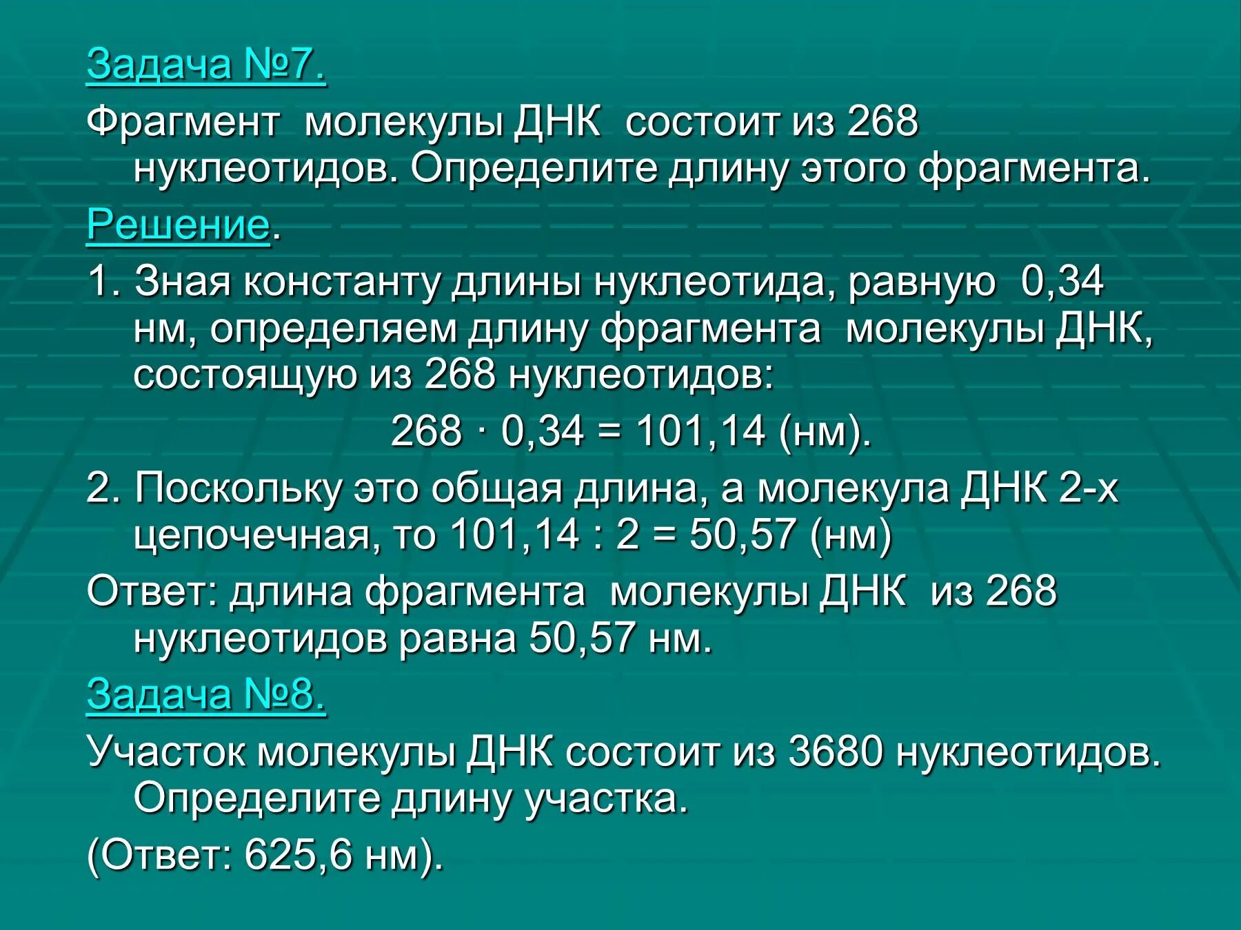 Длина фрагмента ДНК. Длина одного нуклеотида. Определить длину молекулы ДНК. Масса нуклеотида ДНК.