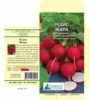 Редис сибири