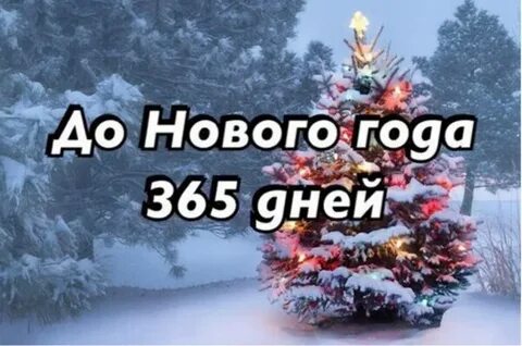 До нового года 365 дней
